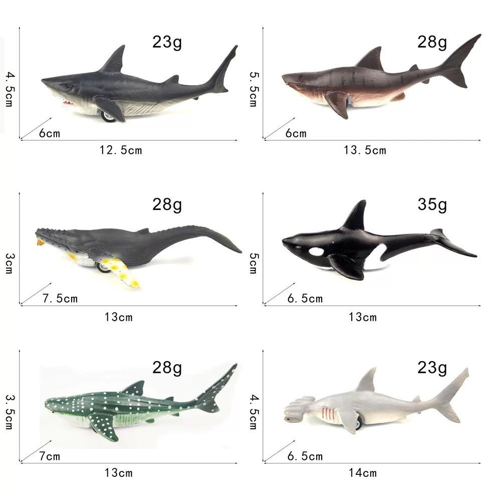 ☆玩具先生☆6入仿真海洋.海生動物虎鯨.白鯨.鯊魚.黑鯨軟膠迴力車-細節圖2