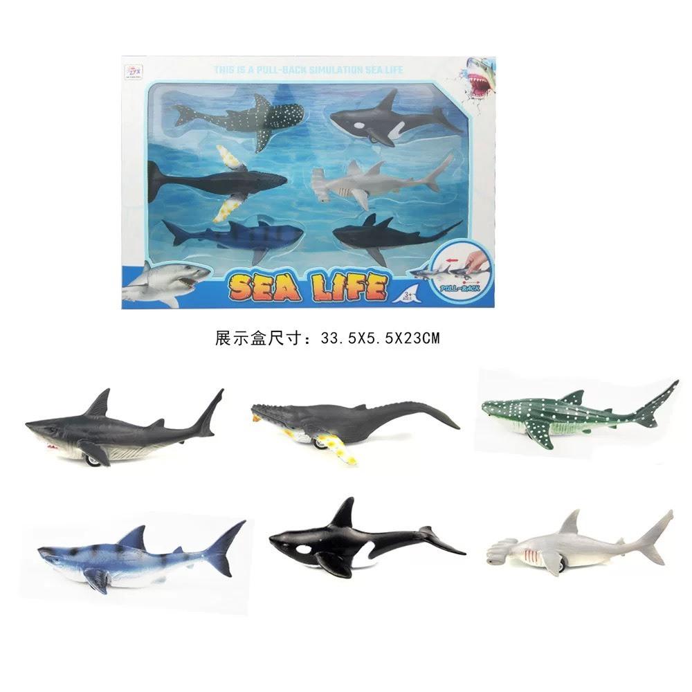 ☆玩具先生☆6入仿真海洋.海生動物虎鯨.白鯨.鯊魚.黑鯨軟膠迴力車-細節圖4