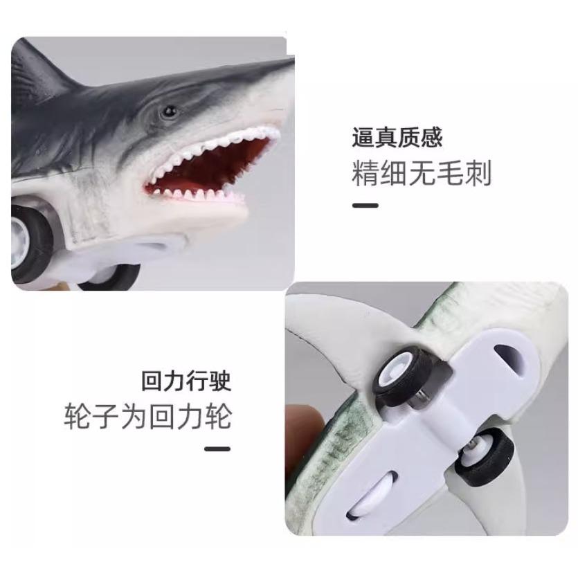 ☆玩具先生☆6入仿真海洋.海生動物虎鯨.白鯨.鯊魚.黑鯨軟膠迴力車-細節圖6