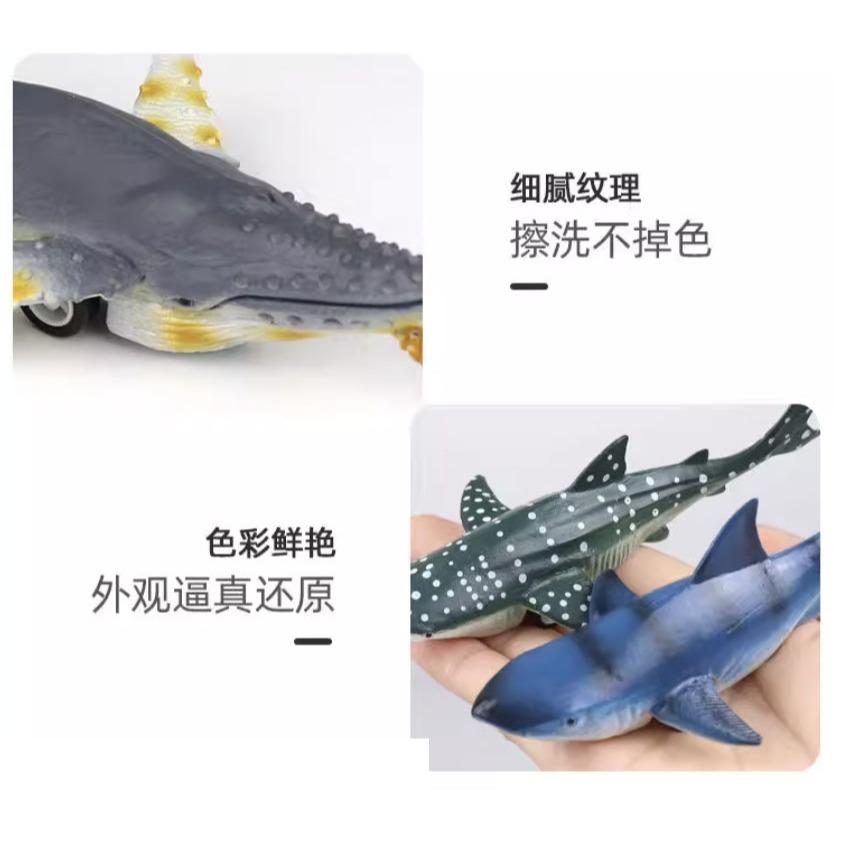 ☆玩具先生☆6入仿真海洋.海生動物虎鯨.白鯨.鯊魚.黑鯨軟膠迴力車-細節圖7