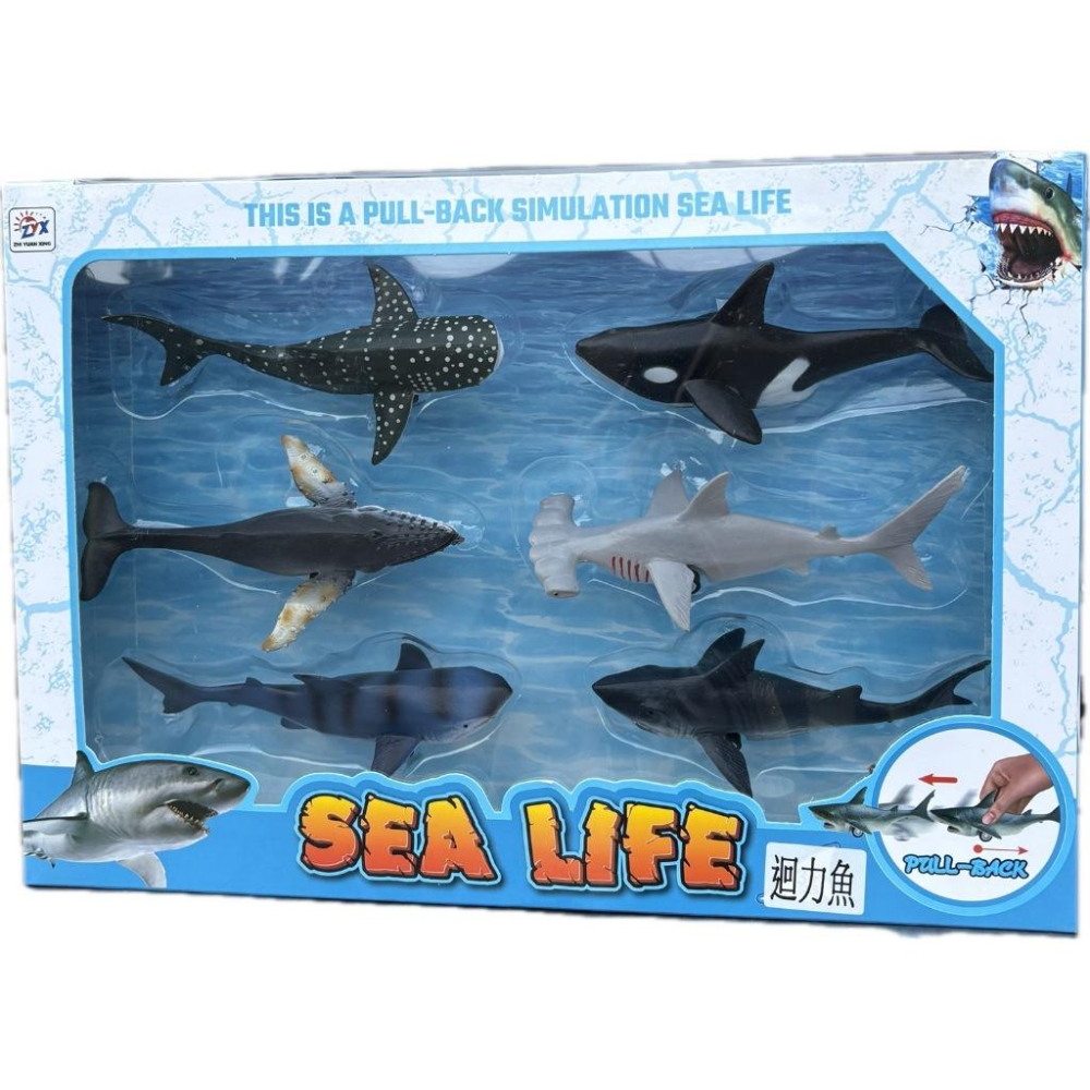 ☆玩具先生☆6入仿真海洋.海生動物虎鯨.白鯨.鯊魚.黑鯨軟膠迴力車-細節圖8