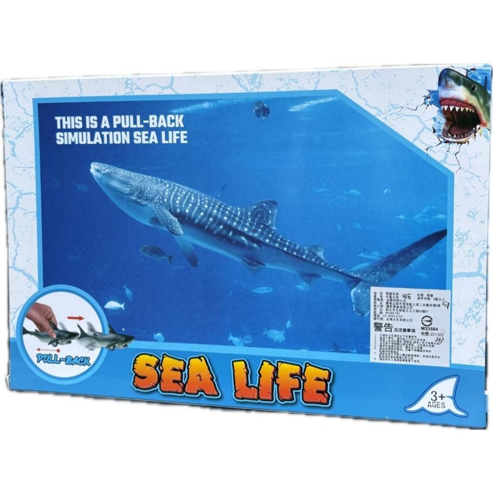 ☆玩具先生☆6入仿真海洋.海生動物虎鯨.白鯨.鯊魚.黑鯨軟膠迴力車-細節圖9