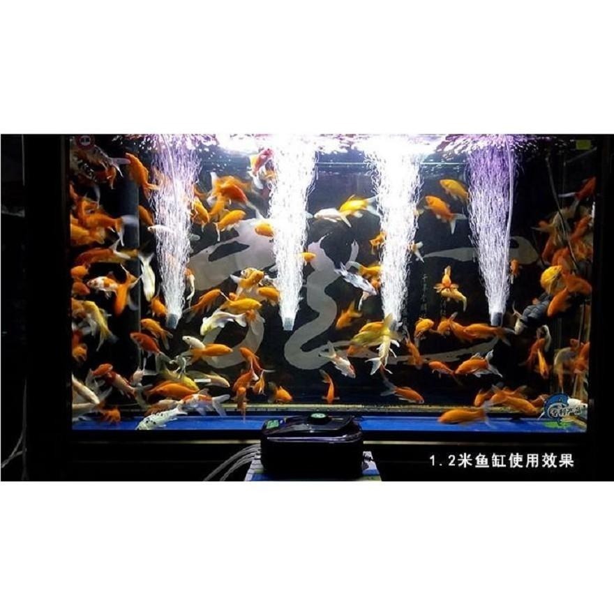 本原批發 氣泡石👍️氣盤石 臭氧氣泡石 氧氣管 魚缸 水管 氧氣泵 止逆閥 止流伐 防水流倒溢 打氣氣 OLD352-細節圖3