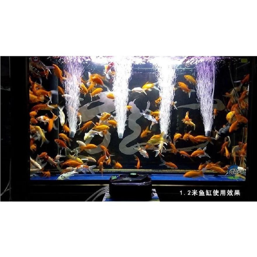 本原批發 氣泡石👍️氣盤石 臭氧氣泡石 氧氣管 魚缸 水管 氧氣泵 止逆閥 止流伐 防水流倒溢 打氣氣 OLD352-細節圖3