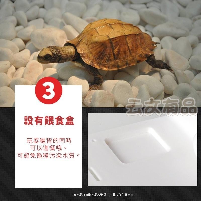烏龜曬台👍烏龜歇腳亭 烏龜曬背臺 烏龜浮島 烏龜浮台 烏龜晒臺 烏龜懸浮台 烏龜爬坡平台 KS91 烏龜島 烏龜平台B-細節圖4