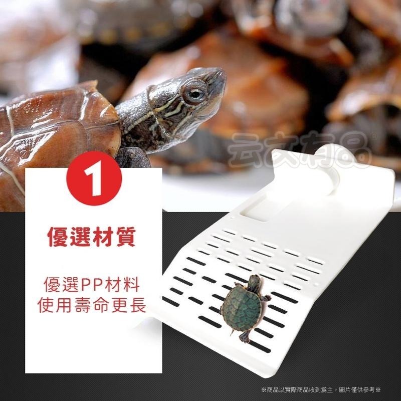 烏龜曬台👍烏龜歇腳亭 烏龜曬背臺 烏龜浮島 烏龜浮台 烏龜晒臺 烏龜懸浮台 烏龜爬坡平台 KS91 烏龜島 烏龜平台B-細節圖5