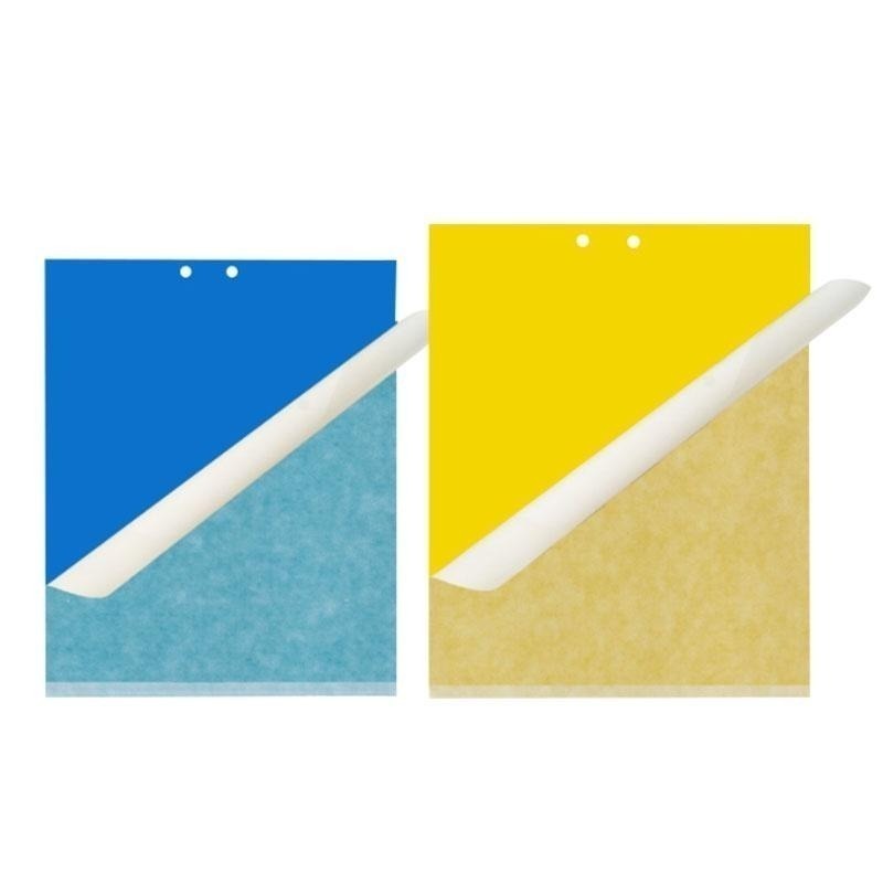 本原批發 大款 黏蟲板👍️黏蟲專用 雙面黏蟲板 有機黏蟲板 誘蟲紙 誘捕器 誘蟲板 黏蠅紙 補誘板 捕蟲板 NT321-細節圖2