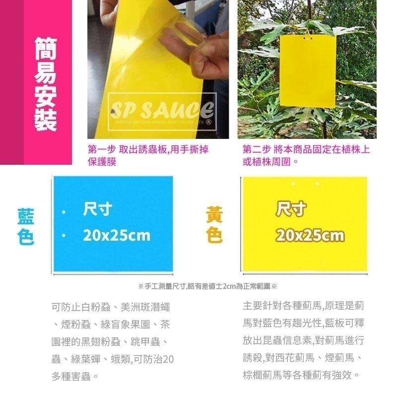 本原批發 大款 黏蟲板👍️黏蟲專用 雙面黏蟲板 有機黏蟲板 誘蟲紙 誘捕器 誘蟲板 黏蠅紙 補誘板 捕蟲板 NT321-細節圖5