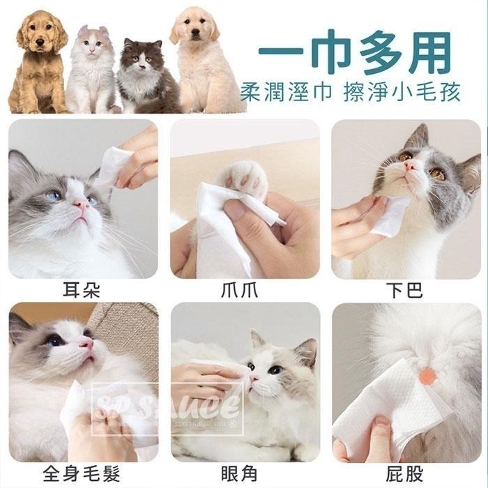 本原批發 寵物專用潔淨濕紙巾 80抽👍寵物濕紙巾 寵物濕巾 去眼垢 貓狗清潔 乾洗澡 寵物眼部濕巾 貓犬通用KS67-細節圖4