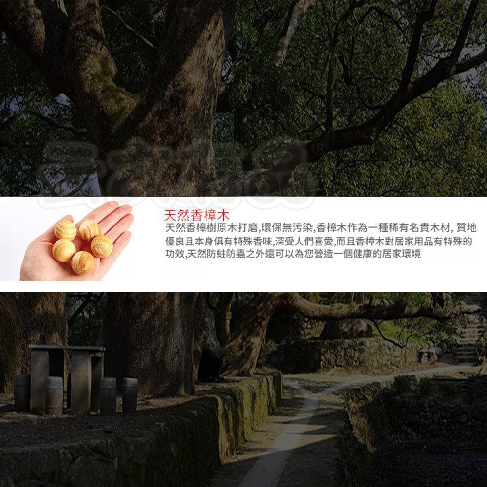 本原批發 樟木球 1顆👍除味驅蟲 防黴樟木球 純天然樟腦球 樟木條 防蟲 樟木棒 香薰木球 防蟲香薰木球 NF449-細節圖5