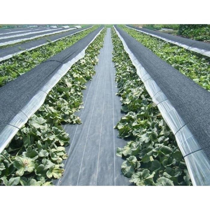 本原批發 園藝地佈防草地布🌈果園地布 雜草抑制蓆 雜草 防草布 園藝地布 防草 除草布 農地 果園布 NT090-細節圖2