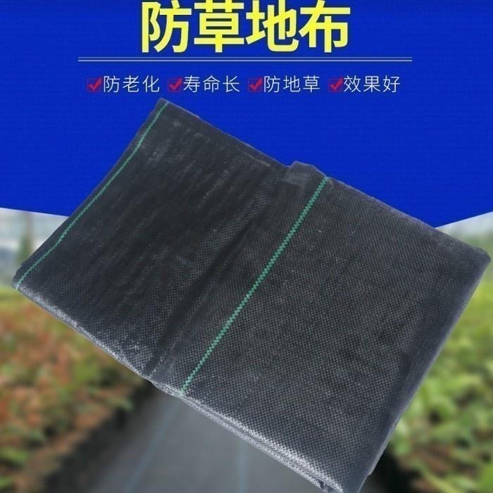 本原批發 園藝地佈防草地布🌈果園地布 雜草抑制蓆 雜草 防草布 園藝地布 防草 除草布 農地 果園布 NT090-細節圖3
