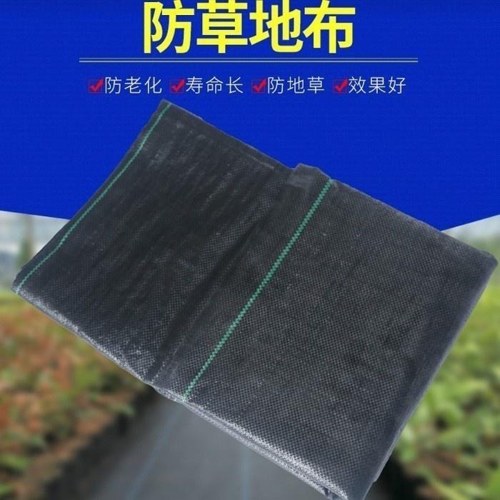 🌈園藝地佈防草地布🌈果園防草地布 雜草抑制蓆 雜草蓆NT090抑草布 防草布 園藝地布防草地布 除草布 農地布果園布-細節圖3