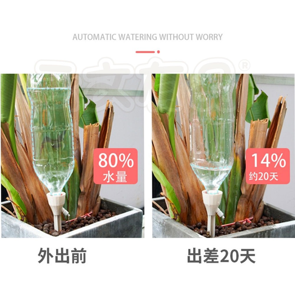 自動澆花澆水神器🎁盆栽自動澆花器 澆水器 滴水器 植物花卉滲水器 滴灌器 澆水器 家用盆栽澆水 NT007 滲水器-細節圖4