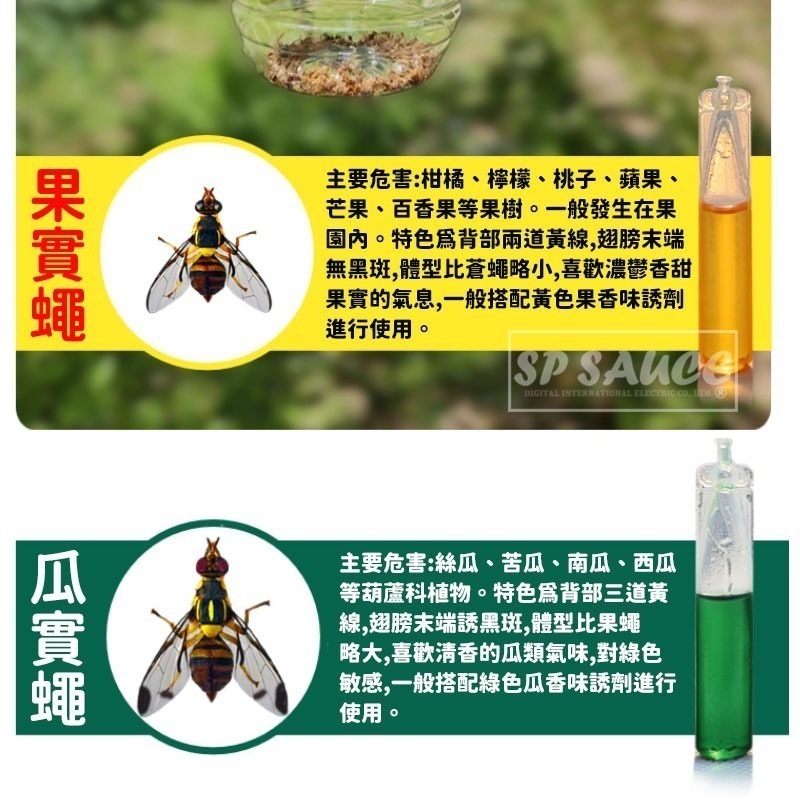 本原批發 果實蠅引誘劑🐛果蠅誘捕劑 瓜果蠅 果蠅 果實蠅 瓜實蠅誘餌 果園果蠅捕捉器 引誘 誘捕 誘捕器 CY177-細節圖5