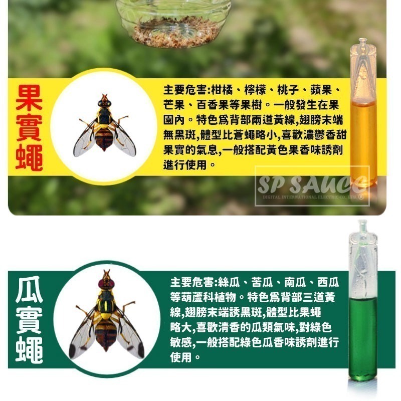本原批發 果實蠅引誘劑🐛果蠅誘捕劑 瓜果蠅 果蠅 果實蠅 瓜實蠅誘餌 果園果蠅捕捉器 引誘 誘捕 誘捕器 CY177-細節圖5