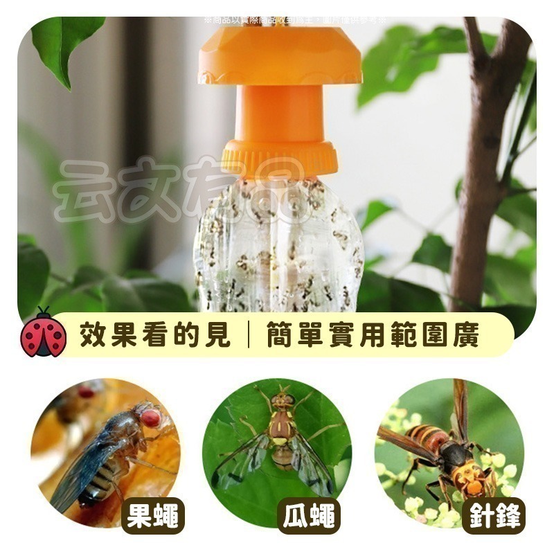 本原批發 果實蠅引誘劑🐛果蠅誘捕劑 瓜果蠅 果蠅 果實蠅 瓜實蠅誘餌 果園果蠅捕捉器 引誘 誘捕 誘捕器 CY177-細節圖7