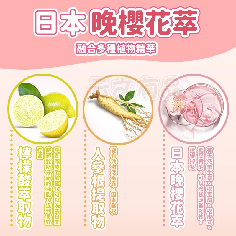 本原批發 SPA蒸氣護髮膜🎀髮膜帽 髮膜 護髮帽 蒸氣 護髮 修護乾燥 保濕 強韌髮芯 柔順 頭髮護理  CY286-細節圖3