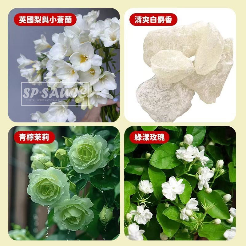 聖誕香氛瓶🎄聖誕擴香瓶 香氛瓶 聖誕禮物 房間香氛CY324擴香瓶 聖誕節 聖誕擴香 室內擴香 芳香瓶 擴香 芳香劑-細節圖3