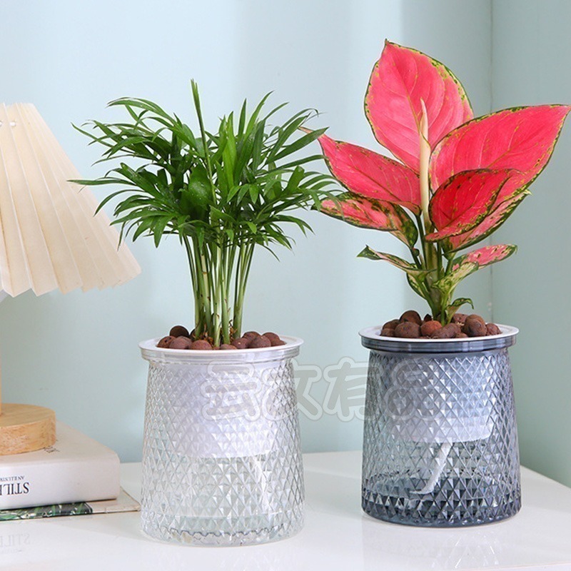 本原批發 懶人花盆👍自吸水花盆 免澆水花盆 盆栽 透明 吸水花盆 盆栽 水培花盆 塑膠花盆 水耕瓶 小花盆CY405-細節圖4