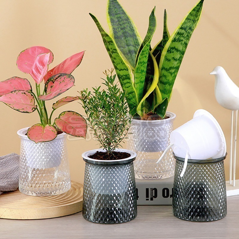 本原批發 懶人花盆👍自吸水花盆 免澆水花盆 盆栽 透明 吸水花盆 盆栽 水培花盆 塑膠花盆 水耕瓶 小花盆CY405-細節圖5