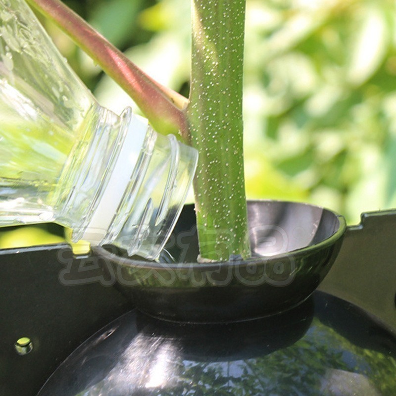 本原批發 高壓繁殖球👍高壓球 生根器 植物繁殖盒 繁殖球 植物 園藝 園藝用具 植物多肉植物 花 園藝用 CY598-細節圖4