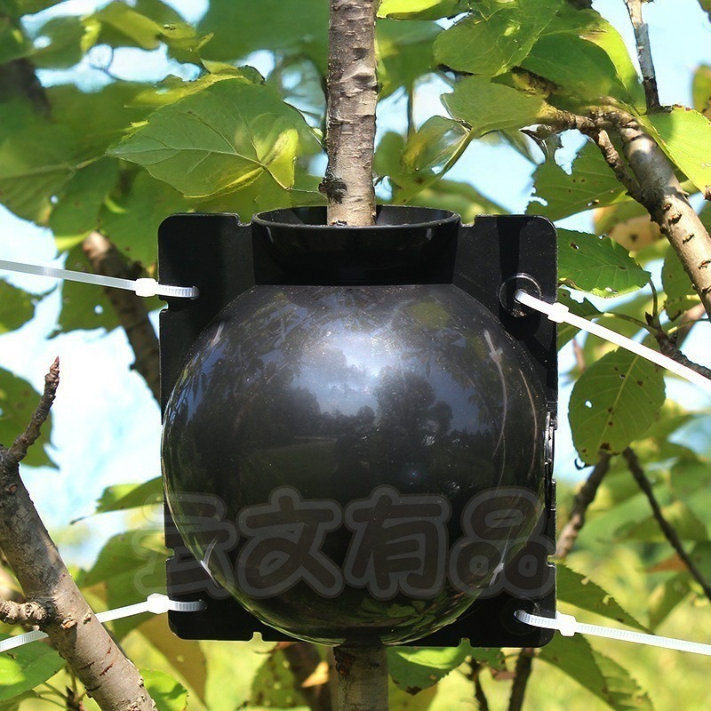 本原批發 高壓繁殖球👍高壓球 生根器 植物繁殖盒 繁殖球 植物 園藝 園藝用具 植物多肉植物 花 園藝用 CY598-細節圖5