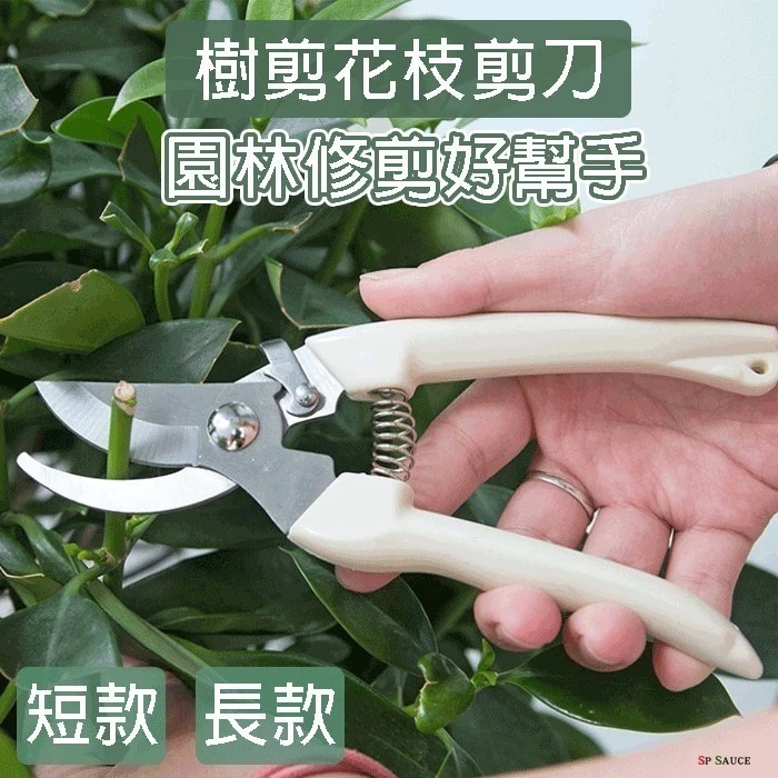 本原批發 園藝剪刀👏不銹鋼 樹枝剪 修枝剪 花木剪刀 園林 花枝剪刀 園藝剪刀 高枝剪 粗枝剪刀 SG656-細節圖3