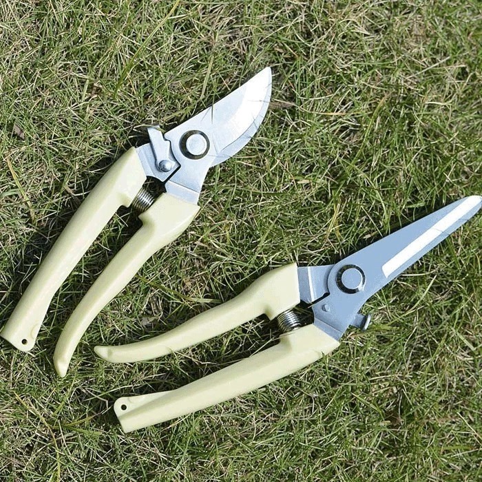 本原批發 園藝剪刀👏不銹鋼 樹枝剪 修枝剪 花木剪刀 園林 花枝剪刀 園藝剪刀 高枝剪 粗枝剪刀 SG656-細節圖4