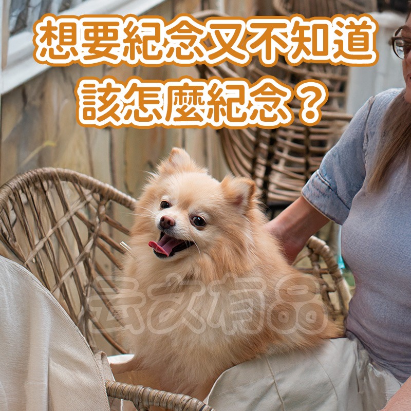 本原批發 寵物毛髮收集鑰匙圈👍寵物紀念品 包包吊飾 貓毛收集 狗毛收集 透明 收納 寵物 紀念品 紀念瓶 吊-細節圖4