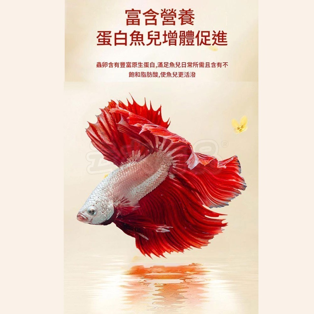 本原批發 開口飼料 豐年蝦卵 脫殼豐年蝦卵 免孵化可即食  鬥魚 孔雀魚 觀賞魚飼料 幼魚飼料 魚苗 幼魚 CY830-細節圖6