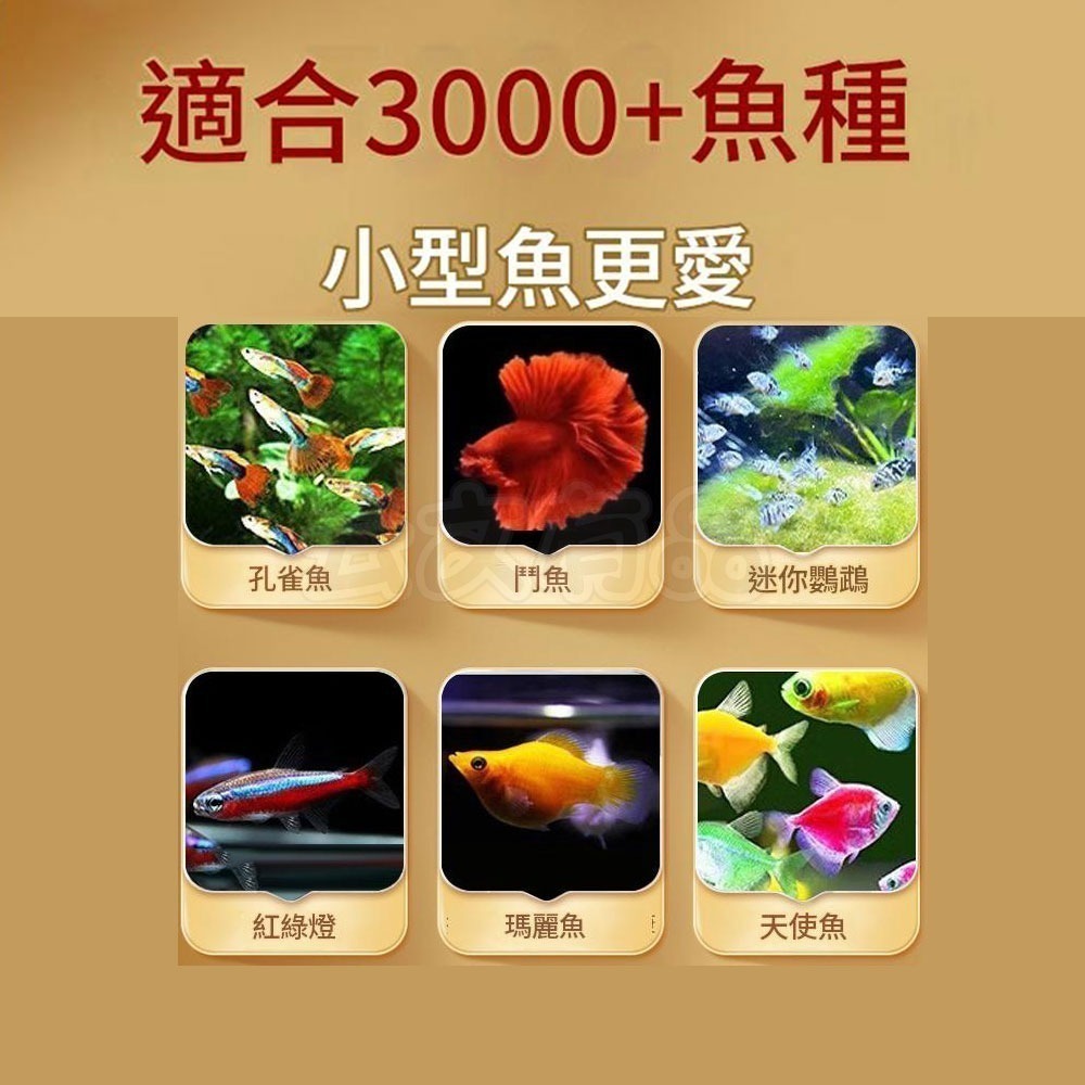 本原批發 開口飼料 豐年蝦卵 脫殼豐年蝦卵 免孵化可即食  鬥魚 孔雀魚 觀賞魚飼料 幼魚飼料 魚苗 幼魚 CY830-細節圖7