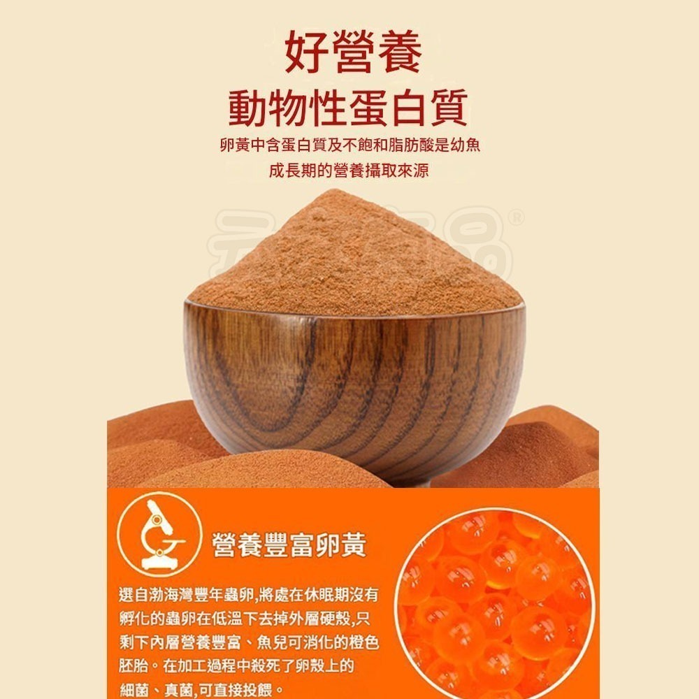 本原批發 開口飼料 豐年蝦卵 脫殼豐年蝦卵 免孵化可即食  鬥魚 孔雀魚 觀賞魚飼料 幼魚飼料 魚苗 幼魚 CY830-細節圖8