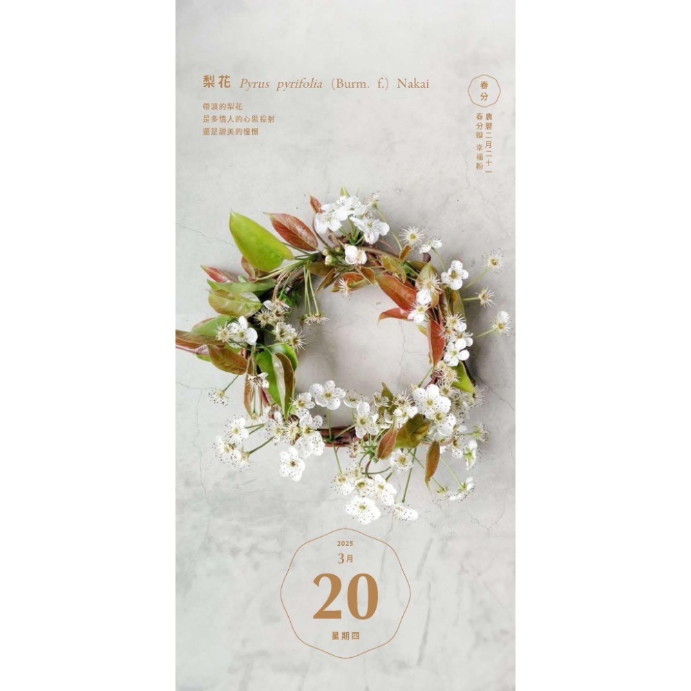 種籽設計2025年民間美日曆-細節圖5