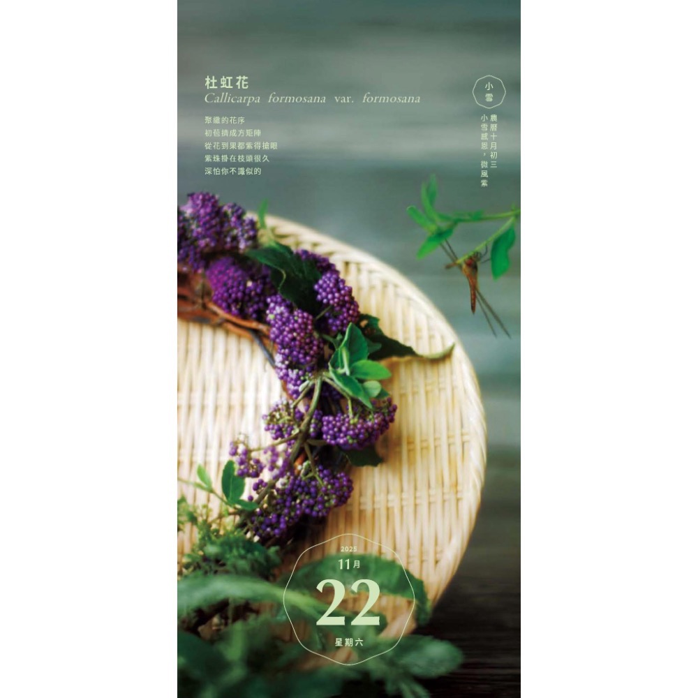 種籽設計：：2025陪你走過春夏秋冬民間美日曆-細節圖6