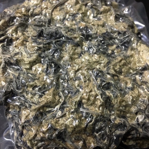 黃花鼠麴草、鼠麴草、刺殼草、真空包「草仔粿材料」，不是鼠麴舅、紫鼠麴草；烹飪課可用-細節圖2