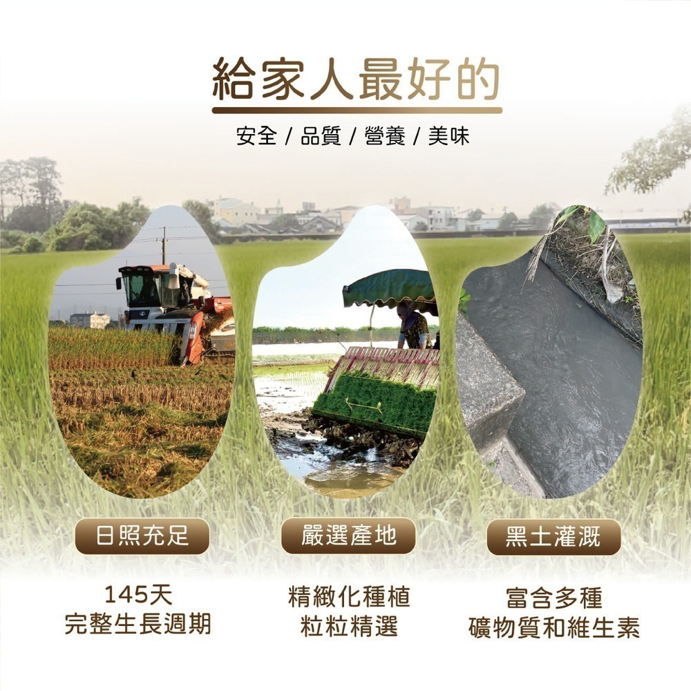 【工廠直營】1.5kg 紫米 黑糯米 真空包裝 天然全穀 香Q口感-細節圖7