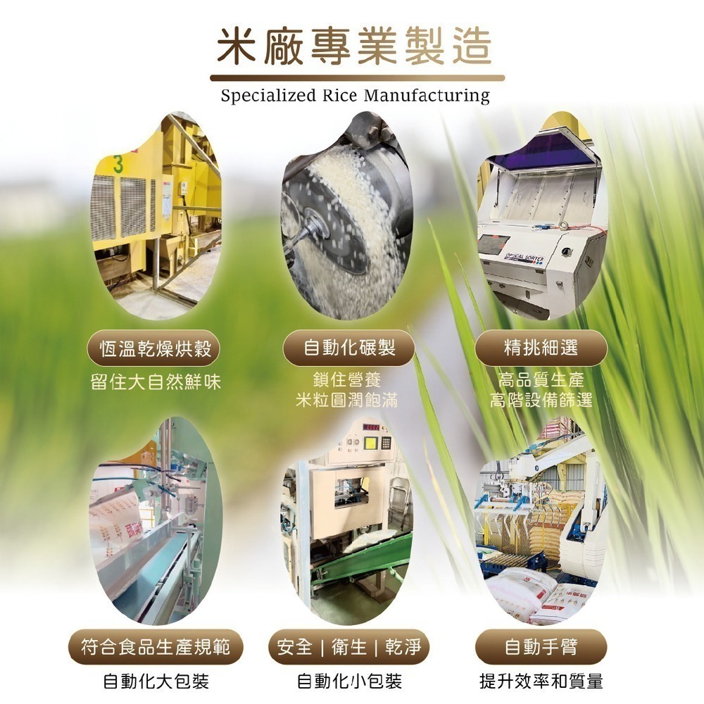 【工廠直營】30kg 紫米 營業用 黑糯米-細節圖4