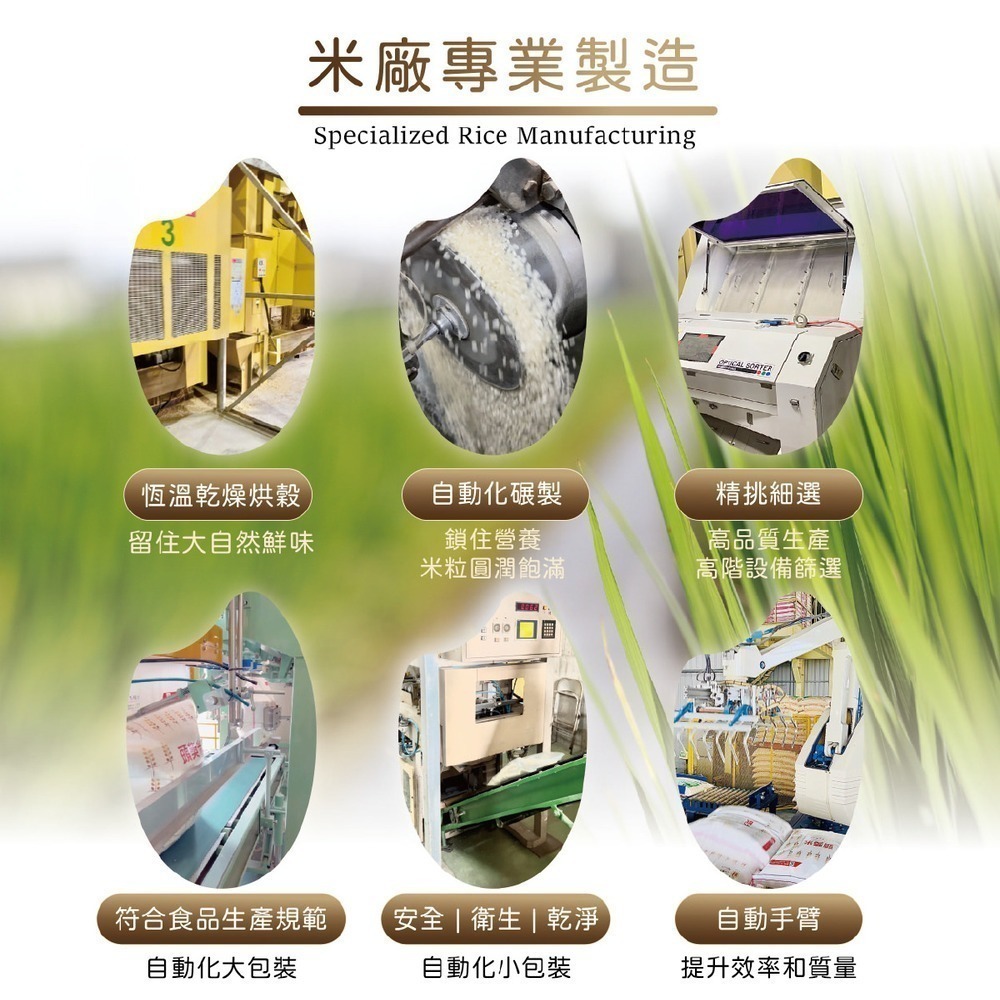 【工廠直營】30kg 白米 一等米 營業用 |台南11號 外銷日本品種-細節圖4