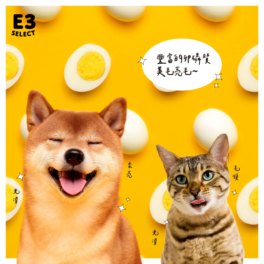 【E3選物店】犬貓通用-寵物專用蛋黃粉-天然卵磷脂 美毛亮毛補充品-細節圖2