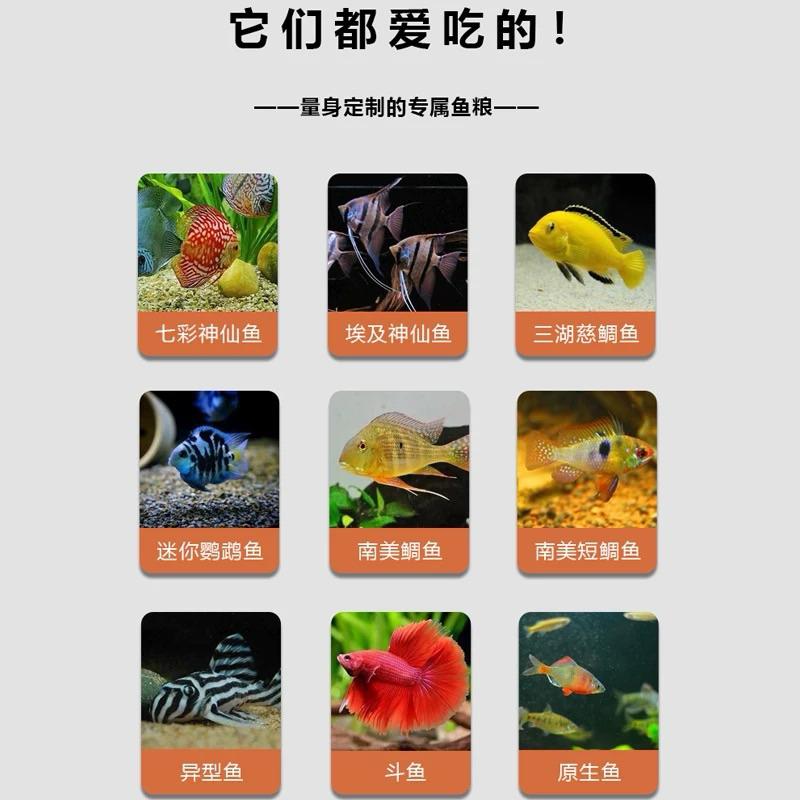 【臥水族】【日本蟲型凍乾：無添加、免冷藏】鼠魚 燈科 鬥魚 飼料 赤蟲 金魚 烏龜 兩棲爬蟲飼料-細節圖2