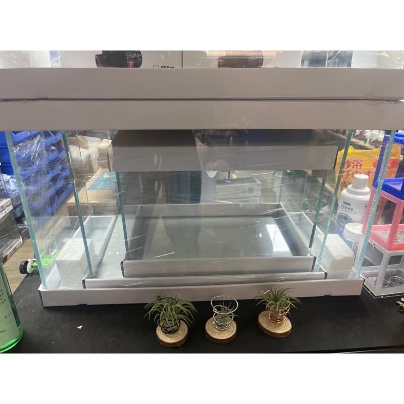 【台中西屯區據點】2尺超白水族箱超白魚缸定做定製金晶玻璃客廳造景水草烏龜缸-細節圖2