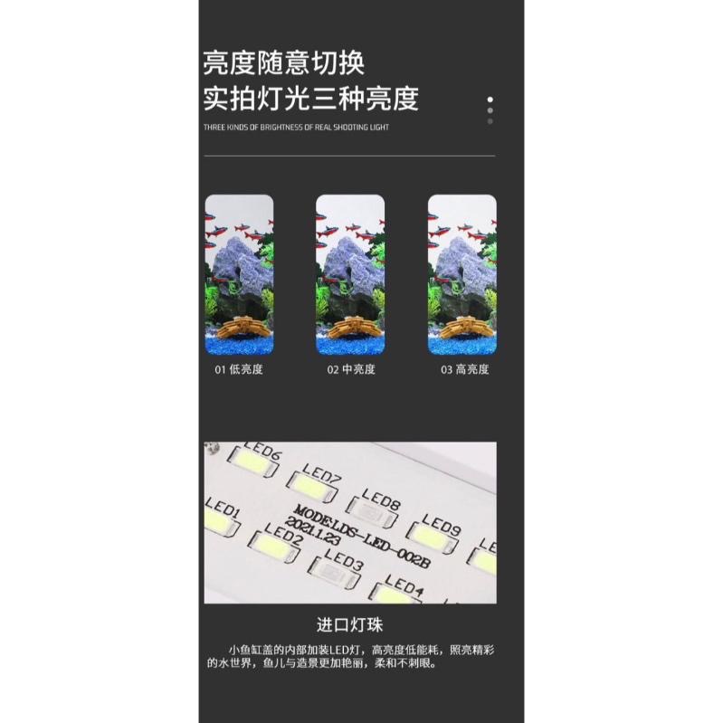 【臥水族】多功能迷你水族箱 USB魚缸 小魚缸 桌面小型水族缸 客廳微景觀生態魚缸 懶人免換水桌面魚缸  交換禮物-細節圖3