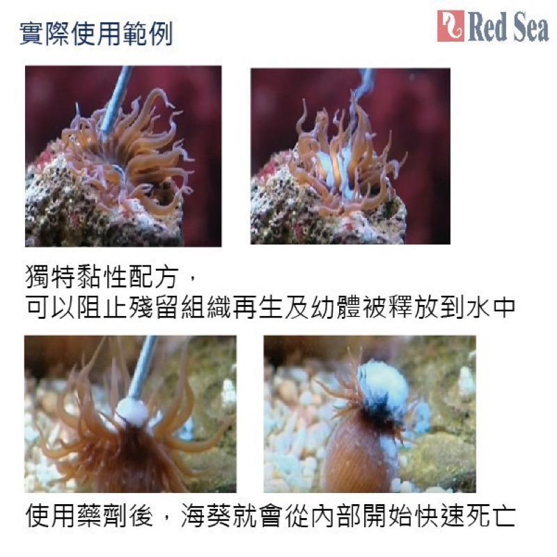 【臥水族】［免運開發票］以色列 Red Sea紅海 垃圾海葵清除劑 60ml 除葵劑 垃圾海葵 R22521-細節圖3