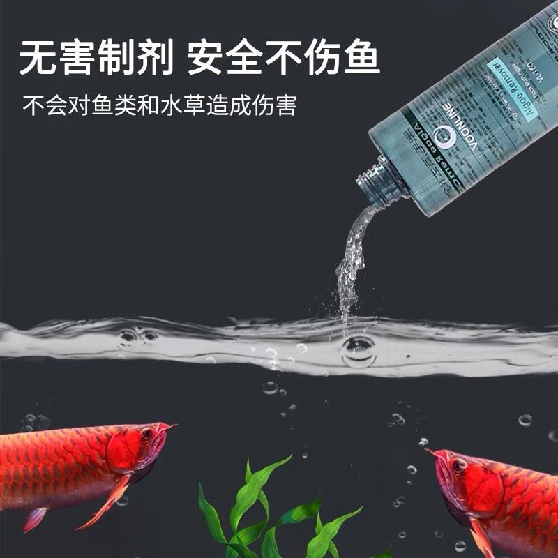 【臥水族】美國沃韋朗黑毛藻去除劑水草魚缸除藻劑滅藻不傷魚去青苔綠藻-細節圖2