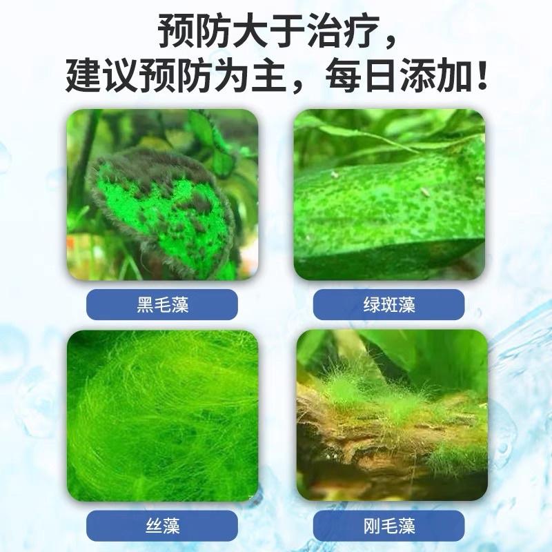 【臥水族】美國沃韋朗黑毛藻去除劑水草魚缸除藻劑滅藻不傷魚去青苔綠藻-細節圖4