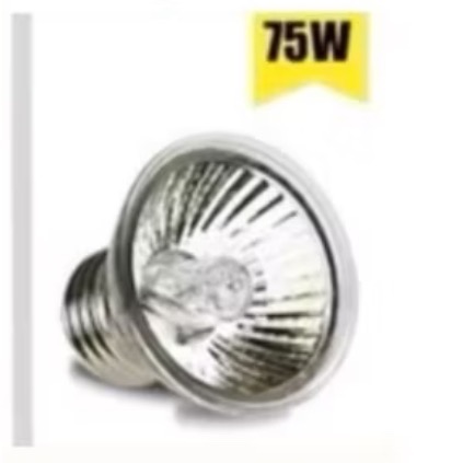 專用燈泡75w*2顆