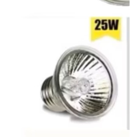 專用燈泡25w*2顆