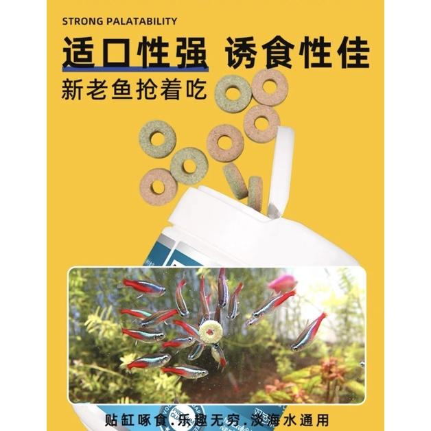 【臥水族】双色環貼片鱼飼料蝦紅素螺旋藻增色成長鱼糧 美國沃韋郎-細節圖2