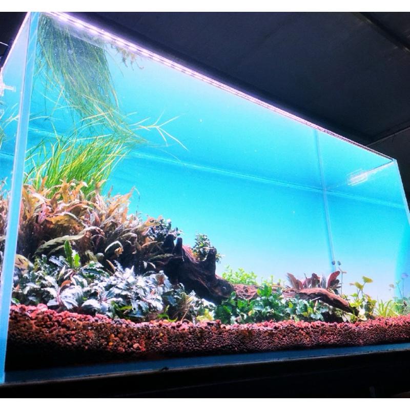 【臥水族】魚缸水草缸背景紙 水族造景裝飾藍白漸變青白漸變背景紙-細節圖2